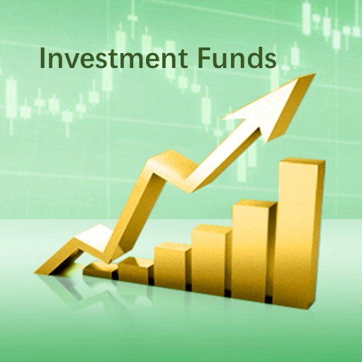 Investment Funds